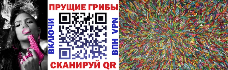 Псилоцибиновые грибы Psilocybine cubensis  KRAKEN зеркало  Черноголовка 